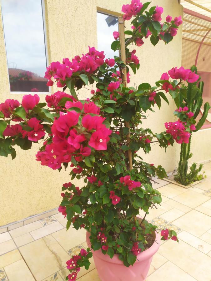 Pousada Lua Cheia بوتوكاتو المظهر الخارجي الصورة